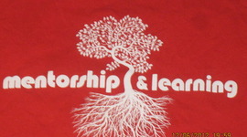 Timeline: My Mentorship Journey