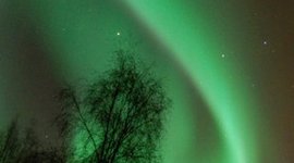 Timeline: Family Timeline