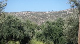 Timeline: History 130