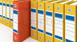 Timeline: Plan for Community Studies Semester 1