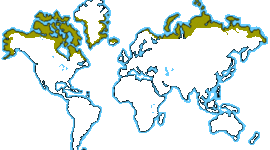 Timeline: Changes to the Tundra