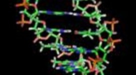 Timeline: DNA Timeline