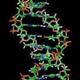 Dna first pic