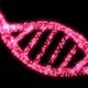 Dna timeline picture