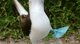 Timeline: Scientists