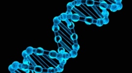 Timeline: The Genetic Material Timeline