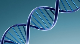 Timeline: Who discovered DNA