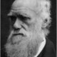 Darwin