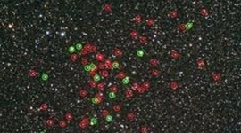 Timeline: Forgotten Objects in Space