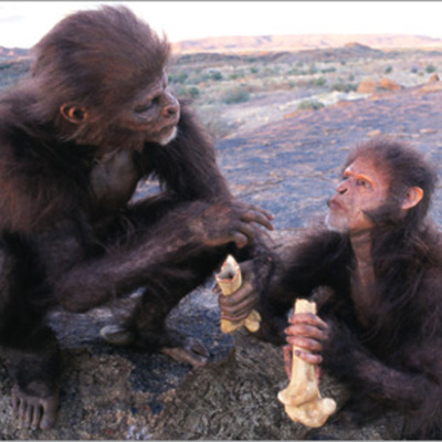 Timeline: Evoluçao do Homem