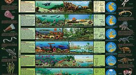 Timeline: Geological Time Scale