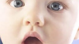 Timeline: Programa de psicomotricidad ( Socializacion Oral)