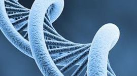 Timeline: DNA time line