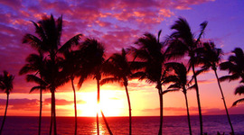 Timeline: Mis Vacaciones a Maui (Quinten)