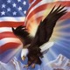 American flag eagle