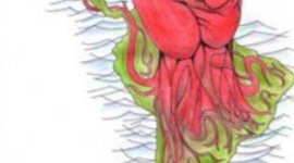 Timeline: Latin American Revolution