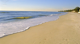 Timeline: Florida's Time Line