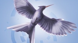 Timeline: MockingJay