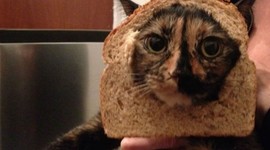 Timeline: GLOBALIZATION