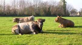 Timeline: Nos formations 2015 / 2016