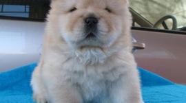 Timeline: my cute timeline