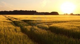 Timeline: Road to Revolution