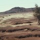 Desertification