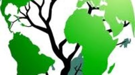 Timeline: Robert's Timeline