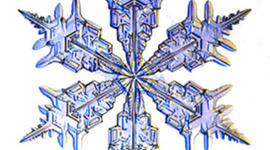 Timeline: Loovuse kursuse ajatelg