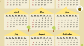 Timeline: By this time next year I may well have (change the verb form) ...