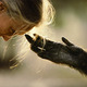 Janegoodall2