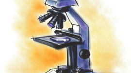 Timeline: history and evolution by breana hopper and eli conkle