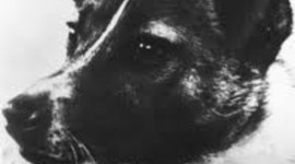 Timeline: pd 1 watkins/terenzi's timeline