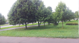 Timeline: Tallinn 2013