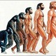 Hominidos