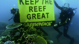 Timeline: Greenpeace Case Study