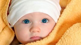 Timeline: Physical Developmental Milestones