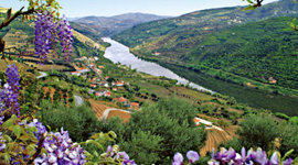 Timeline: Sveriges Historia