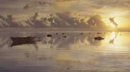 Timeline: 2012 A Year in Review