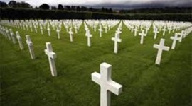 Timeline: a pandimic