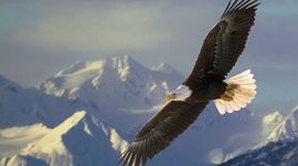 Timeline: Pre American Revolution