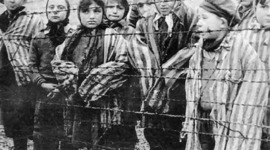 Timeline: The Holocaust