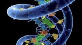 Timeline: Desarollo de la teoria de la evolución