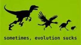 Timeline: EVOLUTION (by: Jonah Pearce, Lillie Chapin, Kim Brunney)