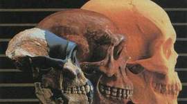 Timeline: DESARROLLO DE LA TEORÍA DE LA EVOLUCIÓN(Inti)