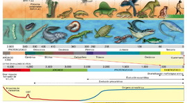 Timeline: Desarrollo de teoría de la evolución