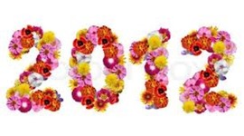 Timeline: 2012 A Year to Remember