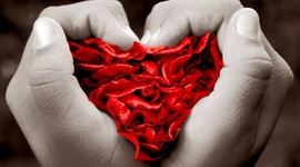 Timeline: LOS MEJORES MOMENTOS DE MI VIDA