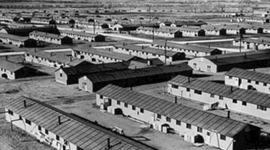 Timeline: Japanses internment camps- Devin Malenovsky, Bridger Fournier, Andrew Fitzgerald