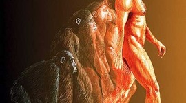 Timeline: Teoría de la Evoución